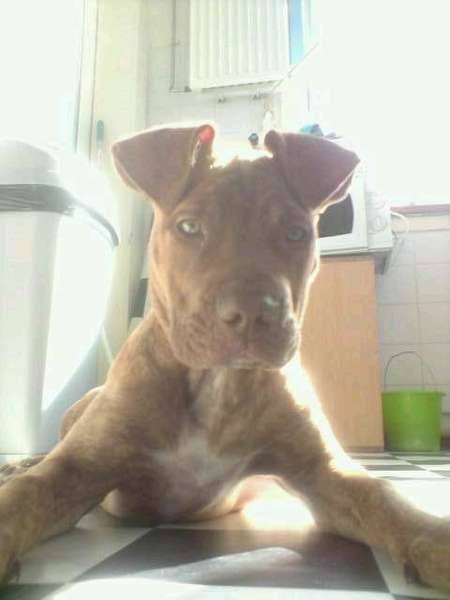 wat zal ik vandaag weer eens uithalen!!