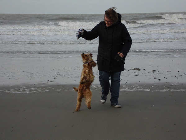 aan de zee...
