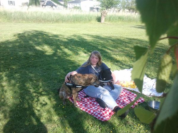 Samen picnicken