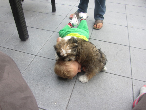 Heerlijk knuffelen met de pup.