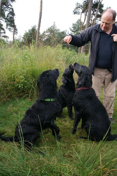 Wij doen alles voor een brokje.........