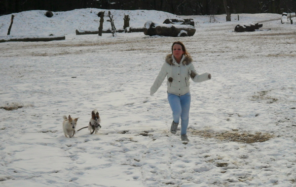 Lekker rennen en ravotten in de sneeuw. 