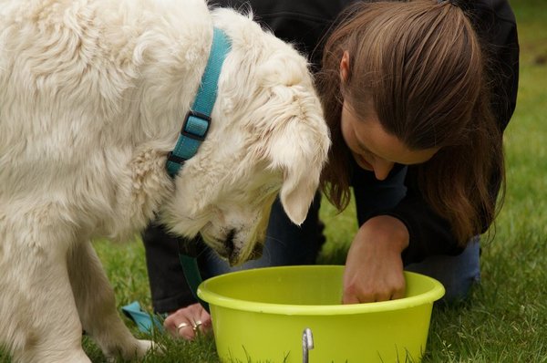 Samen koekjes happen