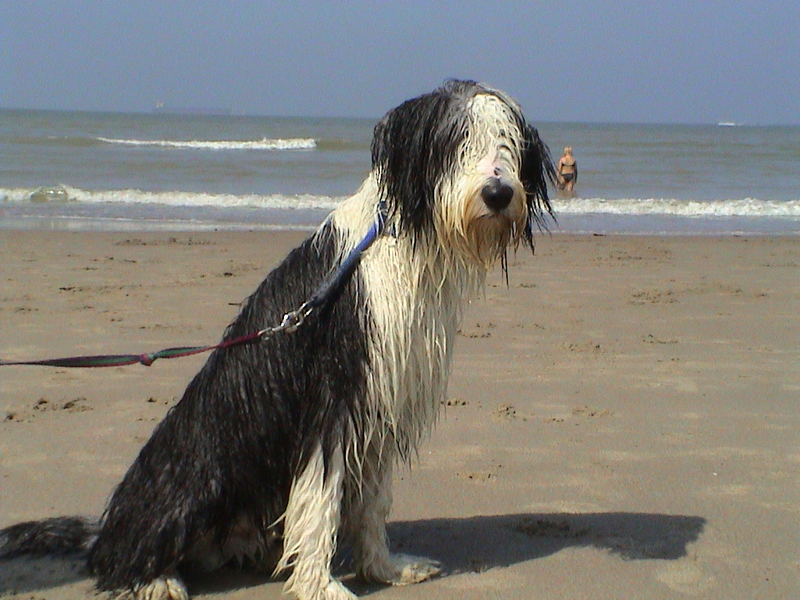 Zo zie ik er uit NA de waterpret