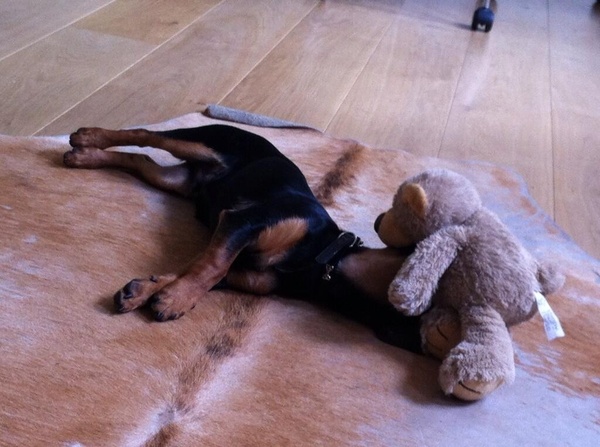 Mooie manier om te slapen .