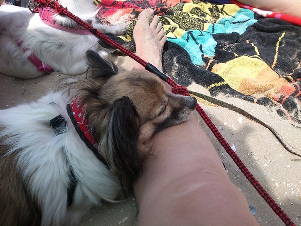 Genietend van een welverdiende vakantie!