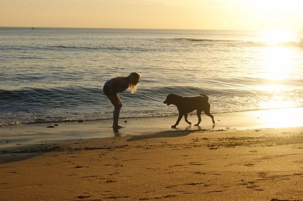 Met cayo op het strand, in Frankrijk 