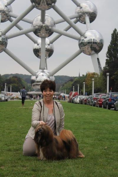 Destination of Love, Lhasa apso kennel