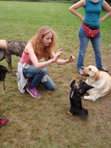 Trucjes doen met Turbo