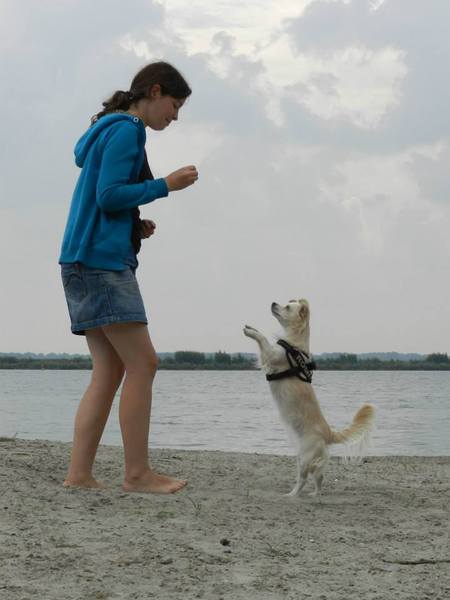 Plezier maken op vakantie !