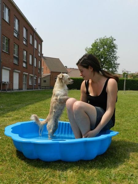 Verkoeling in de zomer