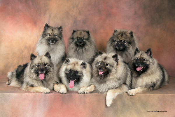 of the Bunyeroo Valley