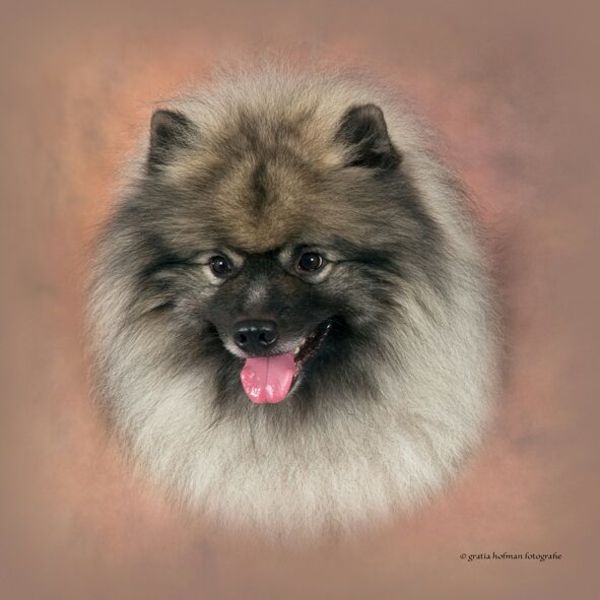 of the Bunyeroo Valley