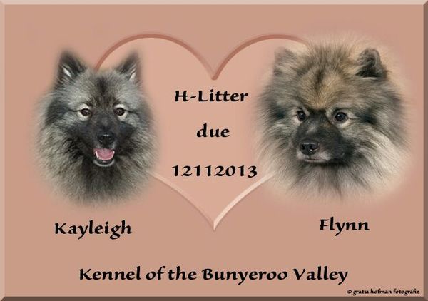 of the Bunyeroo Valley