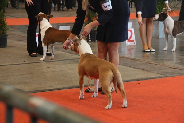 From Nature's Finest 