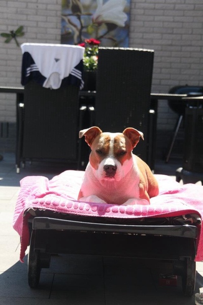 From Nature's Finest 