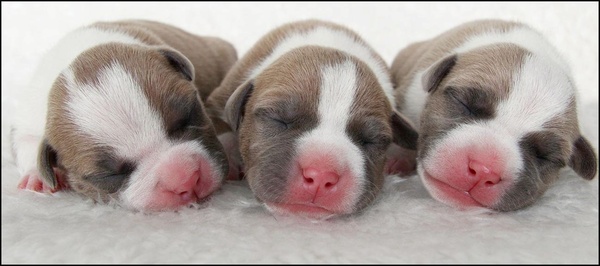 From Nature's Finest 