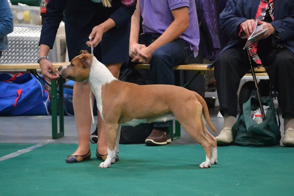 From Nature's Finest 