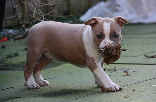 From Nature's Finest 