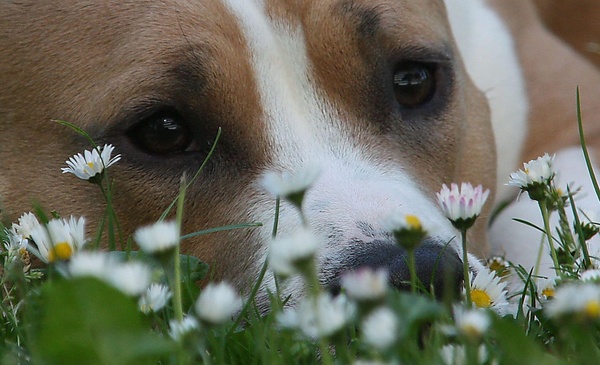 From Nature's Finest 