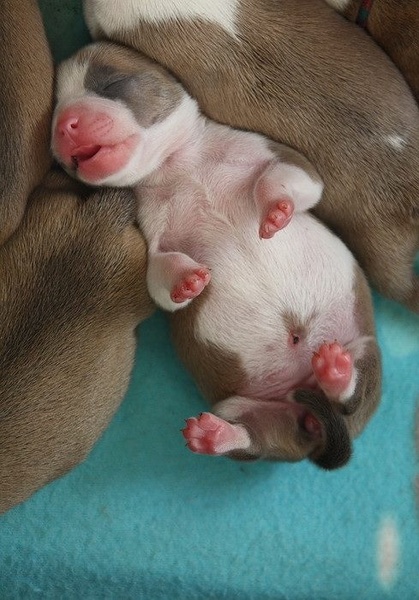 From Nature's Finest 