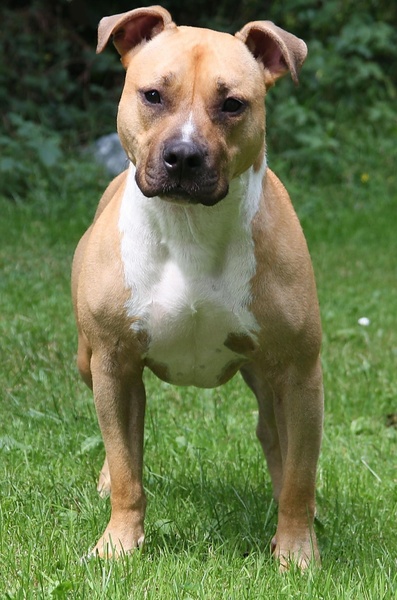 From Nature's Finest 