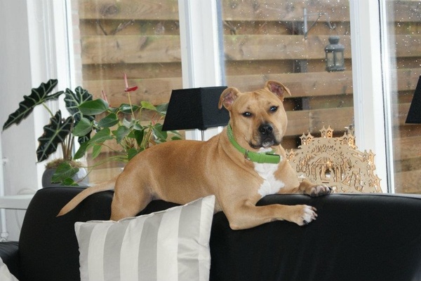 From Nature's Finest 