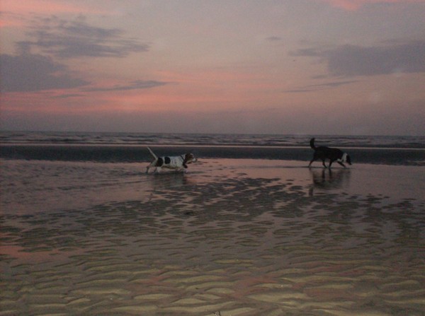 Avondwandeling op het strand