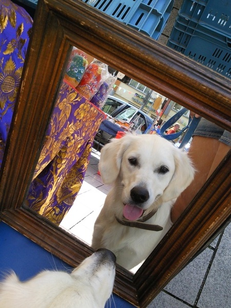 Spiegeltje... spiegeltje...