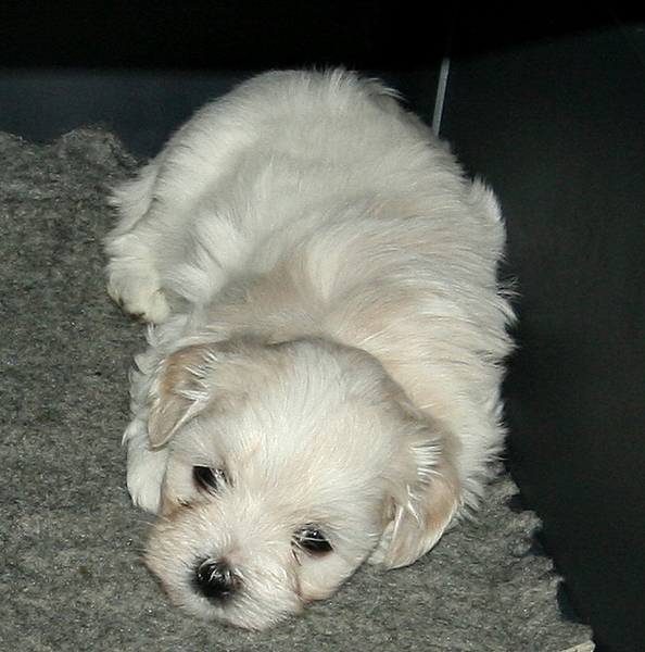 Wat een wereld...word er moe van