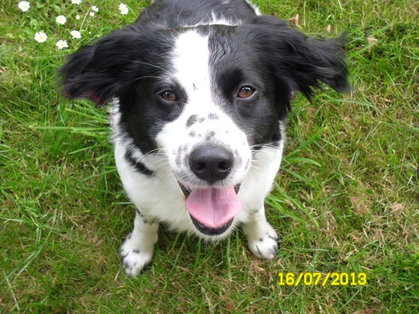 Look in to my eyes...