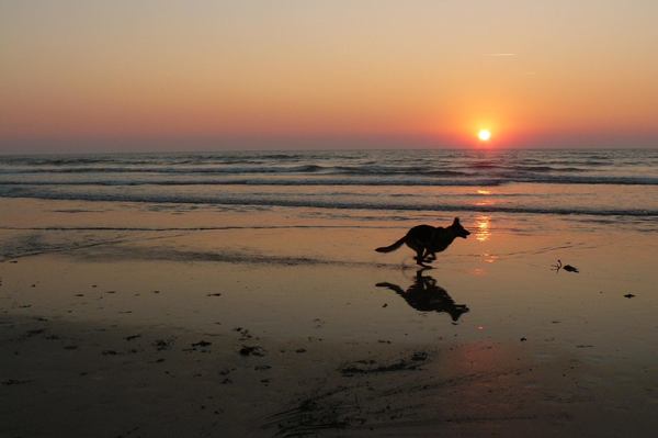 Siri leeft haar zelf uit op het strand