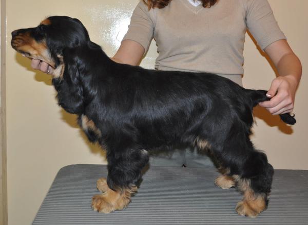 * Stand Your Ground *