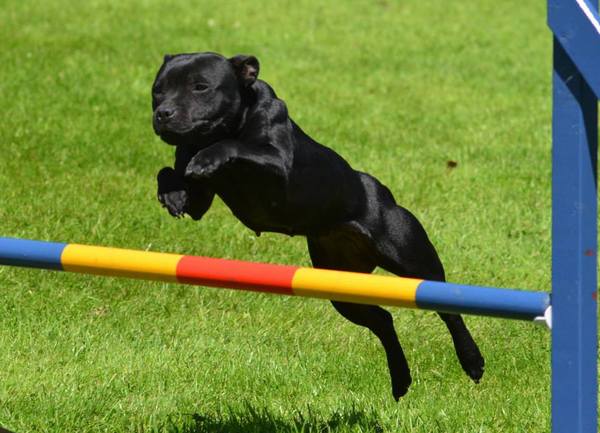 * Stand Your Ground *