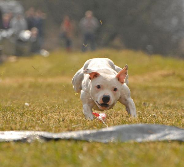 * Stand Your Ground *