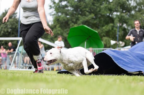 * Stand Your Ground *