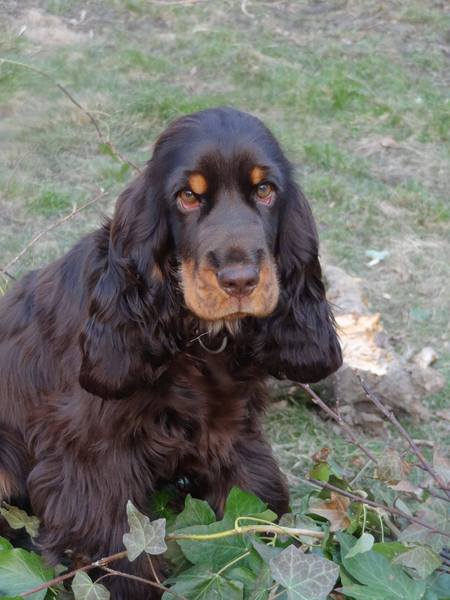 * Stand Your Ground *