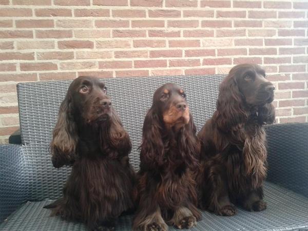 * Stand Your Ground *