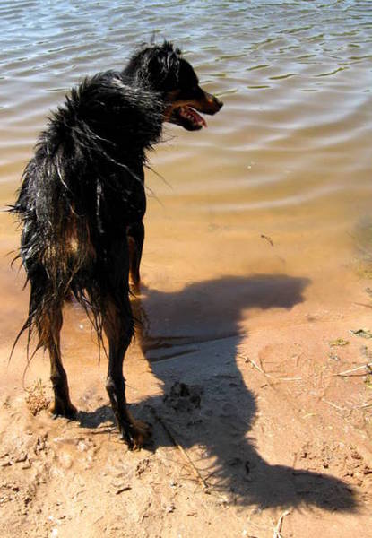 deels weerspiegeling en deels schaduw