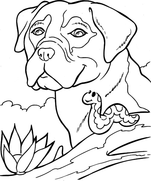 kleurplaat of sjabloon om te schilderen.