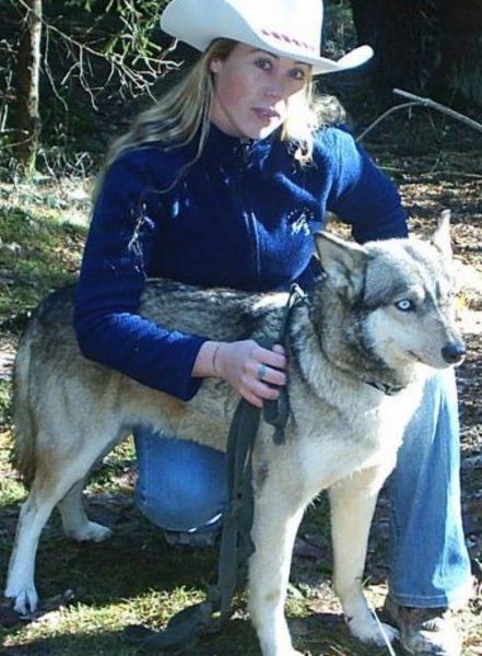 Song Dog/Old Hawk Kennels