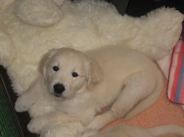 Kleine Mitch