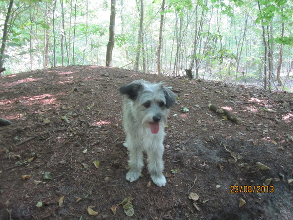 Dit is mijn droppie :-)