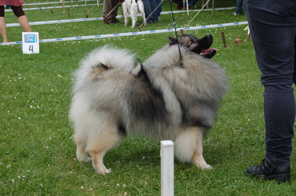 Kisses in de jeugdklas Uden
