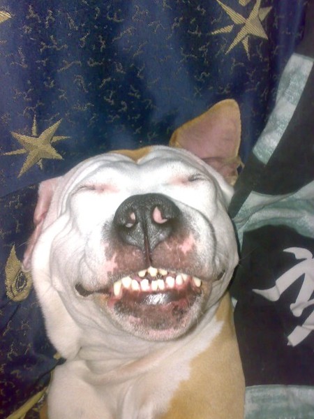 Lach eens naar de camera