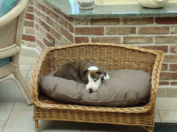 Uitgeteld na het onderzoeken van de tuin :-)