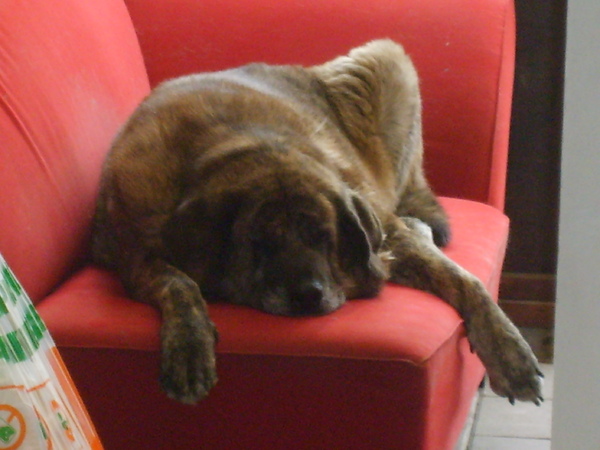 Anthea lui op haar bank 