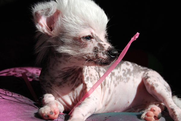 baby met zuig sprietje