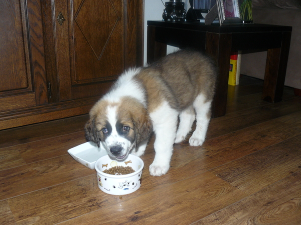 net in mijn nieuwe huisje