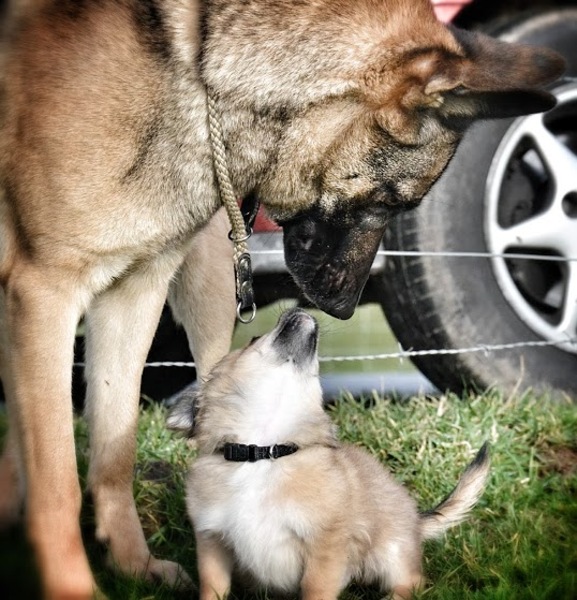 first kiss :p
